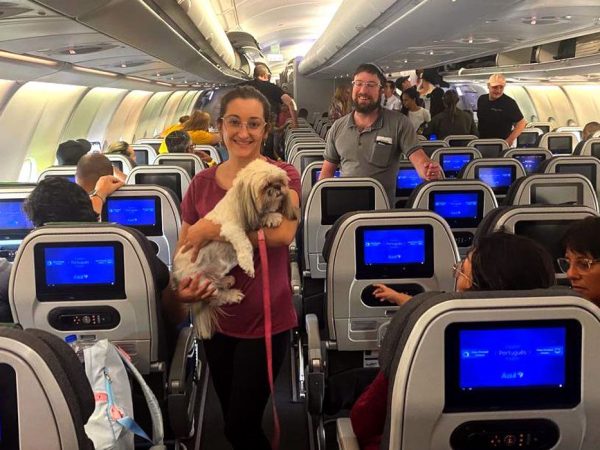 Tel Avivi, Israel, 11.10.2023 - Segunda aeronave da FAB trazendo 212 passageiros, 3 gatos e 1 cachorro, terá o Rio de Janeiro como destino.  Foto: GOV BR/FAB