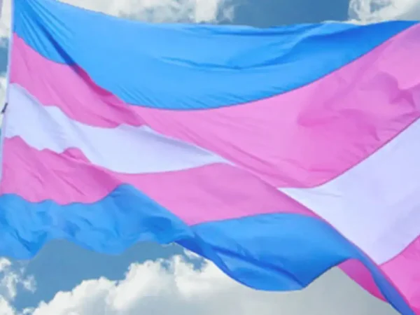 São Paulo (SP), 16/04/2025 - Bandeira da Associação Nacional de Travestis e Transexuais. Foto: Antra/Divulgação
