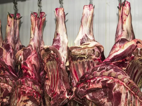 Carne fresca,Açougues, Frigoríficos, alimento