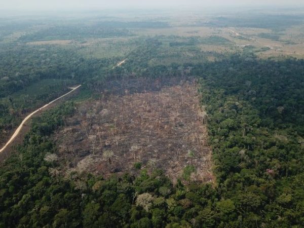 Cerca de 95% dos incêndios florestais ocorrem no segundo semestre — Foto: Op VERDE BRASIL/17.