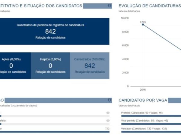 Site do TSE tem estatísticas sobre as eleições no RN — Foto: Reprodução