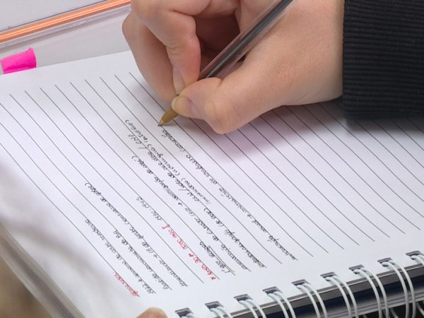 Estudante preenche anotações em caderno — Foto: Reprodução/RBS TV