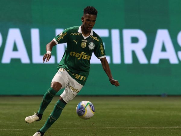 Estêvão _ palmeiras