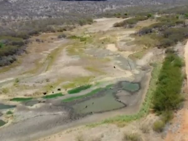Mais da metade dos municípios da Paraíba sofrem com a estiagem e estão em situação de emergência — Foto: Reprodução/TV Globo