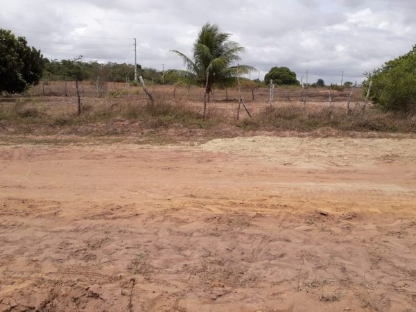 Corpos foram encontrados em estrada de terra na comunidade do Guajiru, em São Gonçalo do Amarante — Foto: Klênyo Galvão/Inter TV Cabugi