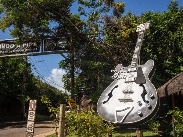 Festival tem início no dia 15 e segue até 18 de agosto, com shows, jam sessions, oficinas socioambientais e workshops musicais gratuitos. — Foto: Divulgação