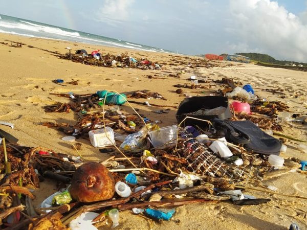 Lixo encontrado em praia de Baía Formosa, no litoral Sul do Rio Grande do Norte — Foto: Fernanda Zauli/G1