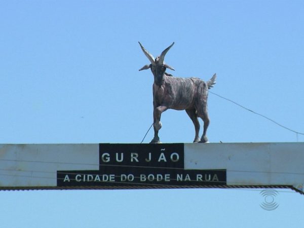 Gurjão, a cidade do Bode na Rua, no Cariri da Paraíba — Foto: Reprodução/TV Paraíba