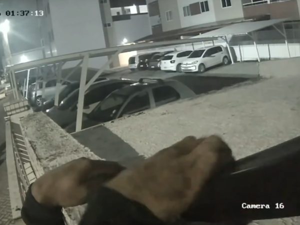 flagra Homem é preso por tentar invadir condomínio em João Pessoa; VÍDEO — Foto: Guarda Civil Municipal de João Pessoa