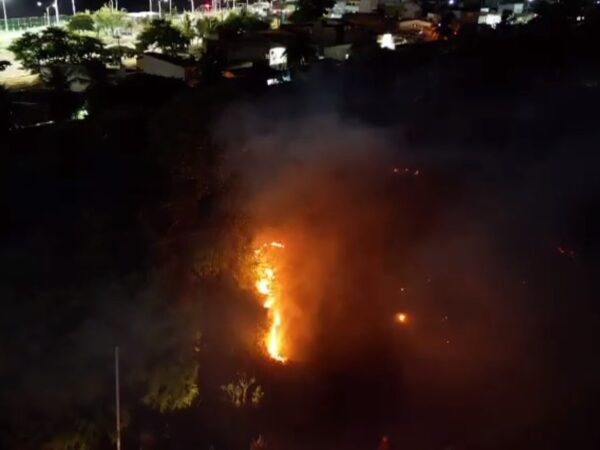 Fogo atingiu área de mata, mas foi controlada pelo Corpo de Bombeiros — Foto: Emerson Medeiros/Inter TV Cabugi