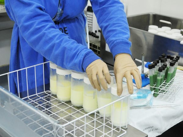 Doações de leite humano beneficiam mais de 8 mil recém-nascidos no RN — Foto: Breno Esaki/Agência Saúde