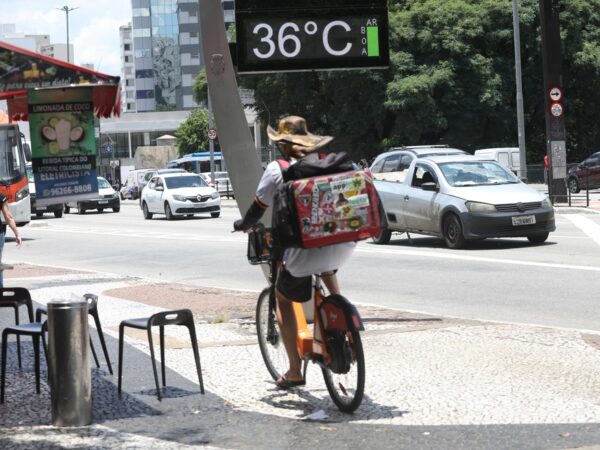 Cidade de São Paulo teve dias de muito calor durante o mês de janeiro — Foto: Renato S. Cerqueira/Futura Press/Estadão Conteúdo