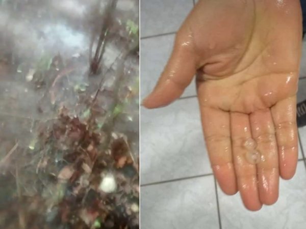 Chuva de granizo deixou moradores de Governador Dix-Sept Rosado surpresos — Foto: Redes sociais