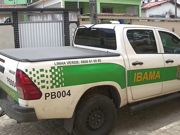 Concurso do Ibama tem edital publicado: veja vagas na Paraíba — Foto: Reprodução/TV Cabo Branco