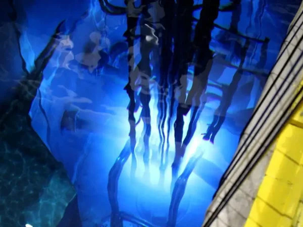 São Paulo - 28/03/2026 -  A Autoridade Nacional de Segurança Nuclear (ANSN) conduz a avaliação técnica das readequações necessárias para a eventual retomada da operação do reator de pesquisa IEA-R1, localizado no Instituto de Pesquisas Energéticas e Nucleares (IPEN/CNEN), em São Paulo.  Foto: Acervo IPEN/CNEN