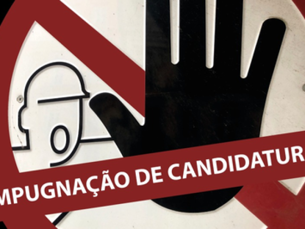 Irregularidades vão de condenações por improbidade a multas eleitorais não pagas e incluem até mesmo filiação a partido “errado”. — Foto: Divulgação
