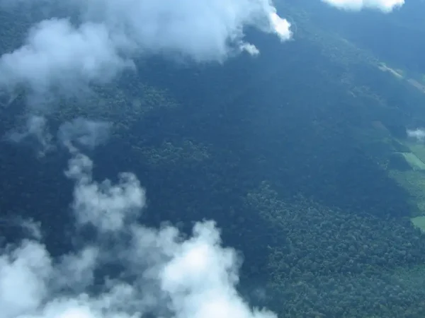 Rio de Janeiro (RJ) 10/01/2025 - Imagem aérea de Santarém coleta de carbono.  -Tecnologias monitoram biodiversidade, árvores e ar da Amazônia.
Foto: Luciana Gatti/Divulgação