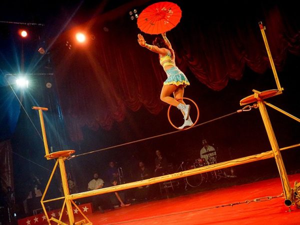 Espetáculo circense em São Paulo Mundo do Circo/Governo do Estado de São Paulo
