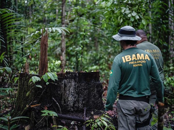 Proposta amplia para fiscais do Ibama e outros o que estava previsto apenas para a Funai Felipe Werneck/Ibama