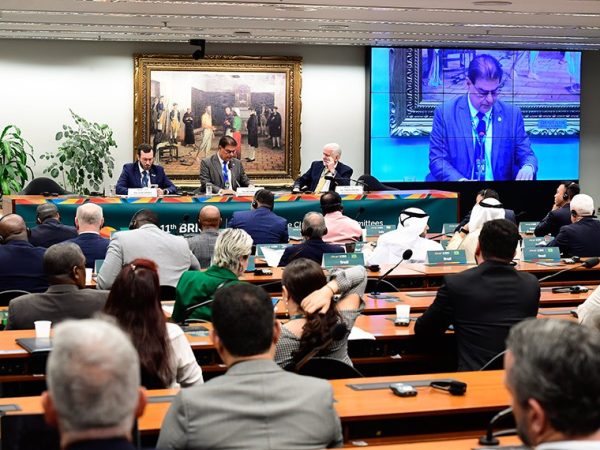 Mesa: 
presidente da Comissão de Relações Exteriores e de Defesa Nacional (CRE) da Câmara dos Deputados, deputado Filipe Barros (PL-PR); 
presidente da Comissão de Relações Exteriores e de Defesa Nacional (CRE) do Senado Federal, senador Nelsinho Trad (PSD-MS); 
senador Jaques Wagner (PT-BA).
