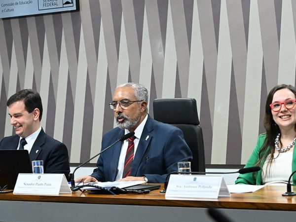Mesa: 
chefe da Divisão de Cooperação Educacional do Ministério das Relações Exteriores (MRE), Edison Luiz da Rosa Junior;
presidente eventual da CE,   senador Paulo Paim (PT-RS);
coordenadora-geral da Campanha Nacional pelo Direito à Educação, Andressa Pellanda.