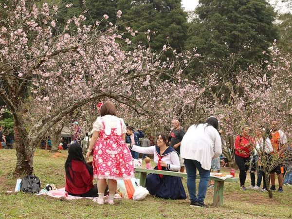 Evento reúne visitantes todos os anos no mês de junho Rovena Rosa/Agência Brasil
