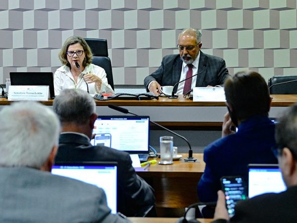 Bancada:
senador Bruno Bonetti (PL-RJ);
senador Izalci Lucas (PL-DF).