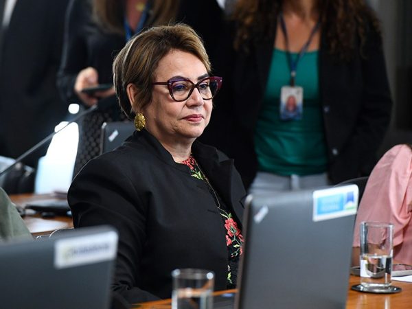 À bancada, senadora Jussara Lima (PSD-PI).