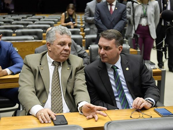 Bancada:
deputado Alberto Fraga (PL-DF);
senador Flávio Bolsonaro (PL-RJ).