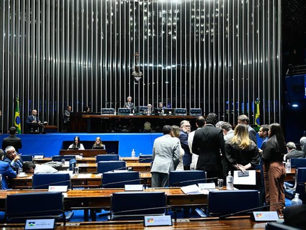 O requerimento foi apresentado pela senadora Damares Alves e pelo senador Jaime Bagattoli Carlos Moura/Agência Senado