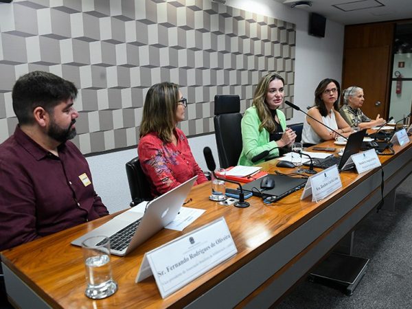 Mesa: 
vice-presidente da Associação Brasileira de Alfabetização (ABalf), Fernando Rodrigues de Oliveira;
secretária de Finanças da Confederação Nacional dos Trabalhadores em Educação (CNTE), Rosilene Corrêa Lima; 
presidente eventual da CE, senadora Augusta Brito (PT-CE) conduz audiência;
coordenadora-geral de Formação de Professores da Educação Básica (SEB/MEC), Lucianna Magri de Melo Munhoz;
representante do Movimento Interfóruns de Educação Infantil do Brasil (Mieib), Cristina Madeira-Coelho em pronunciamento.