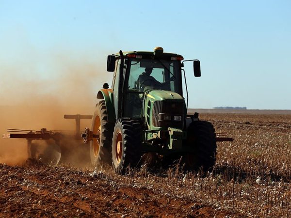 Mato Grosso e Bahia são responsáveis por 82% da produção nacional e se destacam pelo investimento em biotecnologia, gerenciamento do setor e novas técnicas de manejo.