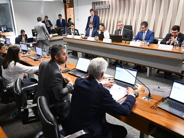 Bancada:
senador Jaime Bagattoli (PL-RO); 
senador Marcos Rogério (PL-RO).