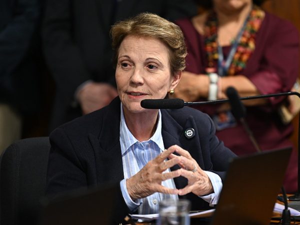 Em pronunciamento, à bancada, senadora Tereza Cristina (PP-MS).