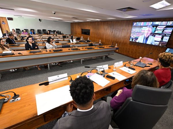 Mesa:
subsecretária de Atendimento Socioeducativo de Minas Gerais, Giselle da Silva Cyrillo;
presidente da CDH, senadora Damares Alves (Republicanos-DF), conduz audiência; 
vereador do Município do Rio de Janeiro e presidente da Comissão de Combate ao Racismo, Vereador Rafael Satiê.