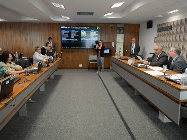 Bancada:
senadora Damares Alves (Republicanos-DF); 
senadora Jussara Lima (PSD-PI).