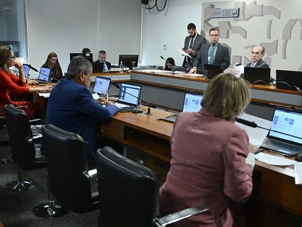 Bancada:
senadora Damares Alves (Republicanos-DF); 
senador Dr. Hiran (PP-RR); 
relatora do PL 5.310/2023, senadora Leila Barros (PDT-DF); 
senadora Roberta Acioly (Republicanos-RR).