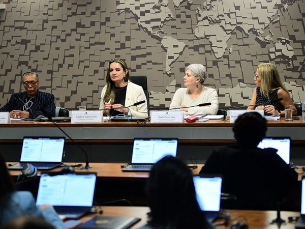 Mesa: 
ministra do Tribunal Superior Eleitoral (TSE), Vera Lúcia Santana Araújo; 
presidente da CMCVM, senadora Augusta Brito (PT-CE); 
secretária Nacional de Enfrentamento à Violência contra as Mulheres, Denise Mota Dau; 
defensora pública federal, Daniela Corrêa Jacques Brauner.