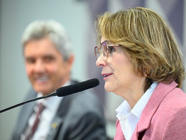 À mesa, presidente da CDH, senadora Damares Alves (Republicanos-DF), conduz reunião.