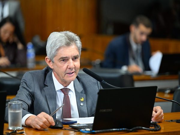 O senador Jaime Bagattoli leu o relatório do senador Marcio Bittar Andressa Anholete/Agência Senado