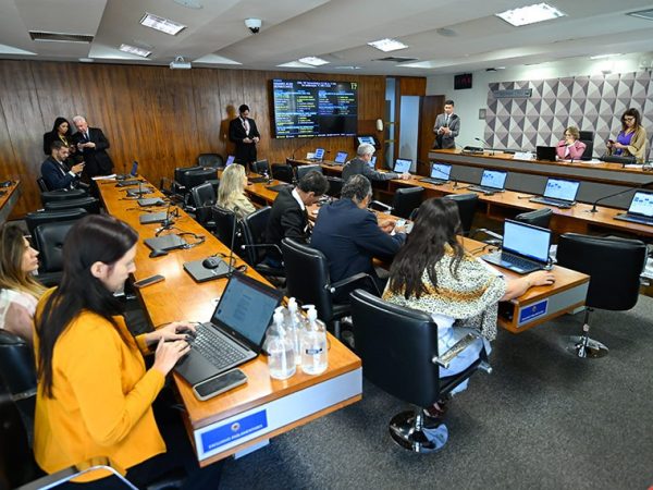 O relatório do senador Marcio Bittar foi lido na reunião pelo senador Jaime Bagattoli Andressa Anholete/Agência Senado
