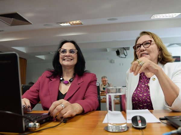 Bancada:
senadora Damares Alves (Republicanos-DF); 
senadora Zenaide Maia (PSD-RN).