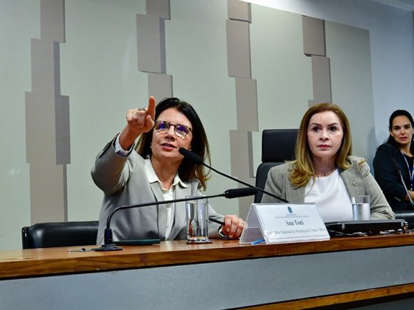 Mesa: 
secretária Nacional de Mudança do Clima do Ministério do Meio Ambiente e Mudança do Clima (MMA), Ana Toni - em pronunciamento; 
presidente da CMMC, deputada Socorro Neri (PP-AC).