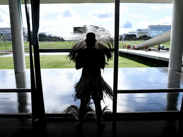 Segundo a Articulação dos Povos Indígenas do Brasil (Apib), organizadora do evento, o ATL reforça a importância da demarcação das terras indígenas no Brasil, paralisadas nos últimos quatro anos. A entidade destaca que mais de 200 terras indígenas estão na fila da demarcação da Fundação Nacional dos Povos Indígenas (Funai). Ao todo, 13 territórios estão com o processo em andamento, com a homologação a ser feita. Até o momento, cerca de 600 foram regularizadas.