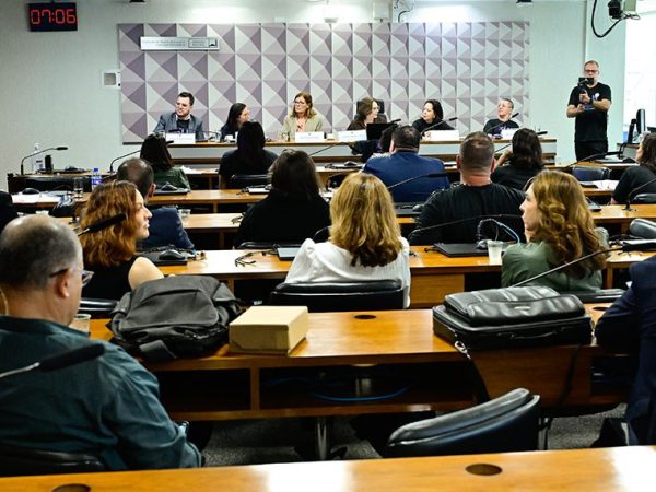 Da bancada, convidados participam da audiência.