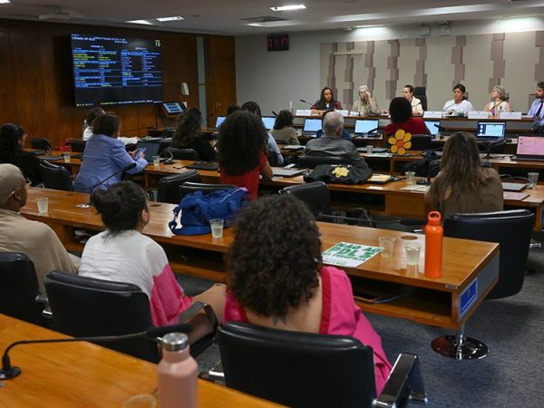 Mesa: 
diretora de Articulação Interfederativa da Secretaria de Gestão do Sistema Nacional de Promoção da Igualdade Racial (MIR), Isadora Bispo dos Santos; 
secretária nacional dos Direitos da Criança e do Adolescente (MDH), Maria do Pilar Lacerda Almeida e Silva; 
presidente da CMCVM, deputada Luizianne Lins (PT-CE); 
presidente do Conselho Nacional dos Direitos da Criança e do Adolescente (Conanda), Deila do Nascimento Martins Cavalcanti; 
conselheira Nacional dos Direitos da Mulher (CNDM), Alison Regina Mazza Lubascher; 
secretário executivo da Coalizão Brasileira pelo Fim da Violência contra Crianças e Adolescentes, Lucas José Lopes.