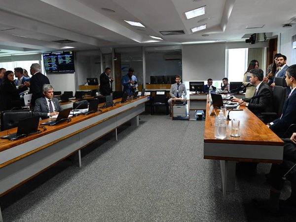 À bancada, senador Jaime Bagattoli (PL-RO).