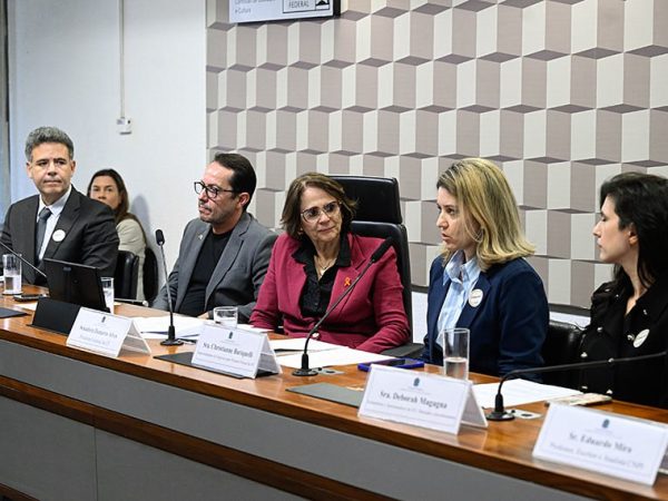 Mesa: 
superintendente de Orientação aos Investidores e Finanças Sustentáveis da Comissão de Valores Mobiliários (SOI/CVM), José Alexandre Cavalcanti Vasco;
superintendente de Sustentabilidade, Inovação e Educação da Associação Brasileira das Entidades dos Mercados Financeiro e de Capitais (Ambima), Marcelo Billi Bernardo;
presidente eventual da CE, senadora Damares Alves (Republicanos-DF);
superintendente de Negócios para Pessoas Físicas da B3, Christianne Bariquelli;
professor, escritor e Analista Certificado Nacional do Profissional de Investimento (CNPI), Eduardo Mira.