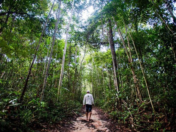 Projeto veio de CPI que investigou ONGs da Amazônia; servidores deverão cumprir 'quarentena' Marcelo Camargo/Agência Brasil