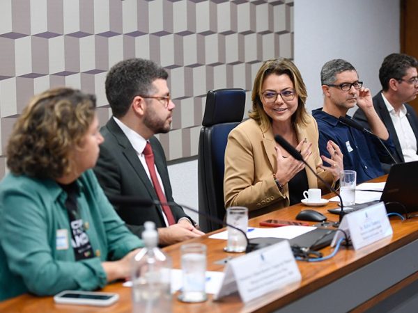 Mesa: 
Diretora do Departamento de Clima do Ministério de Relações Exteriores - MRE, Ministra Liliam Beatris Chagas de Moura;
secretário-executivo adjunto do Ministério da Fazenda (MF), Rafael Dubeux;
presidente da CMA, senadora Leila Barros (PDT-DF); 
coordenador de Política Internacional do Observatório do Clima, Claudio Angelo;
coordenador de Sustentabilidade da Confederação da Agricultura e Pecuária do Brasil (CNA), Nelson Ananias Filho.